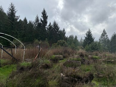 0000 Saber Tooth Rd, Willow Creek, CA 95525 - photo 4