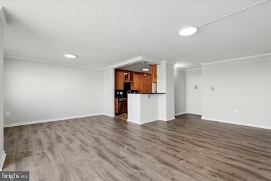 Parc East unit 919, Alexandria, VA 22302 - photo 6