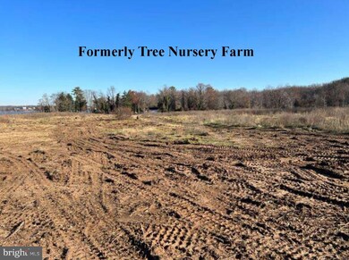 1240 Denison Place, Bryans Road, MD 20616 - photo 5