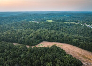 91.11 Acres Lollar Branch Rd, Sullivan, MO 63080 - photo 6