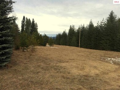 230 StorMcLoud Dr, Sagle, ID 83860 - photo 7