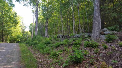 Lot 03-03-01 Thornton Gore Rd, Thornton, NH 03285 - photo 5