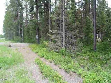 14352 Us Highway 2 E, Essex, MT 59916 - photo 4