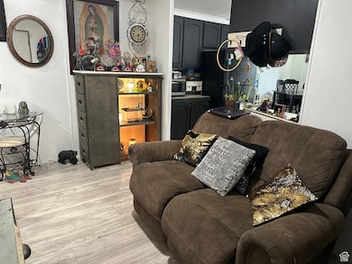 Living area featuring light wood finished floors