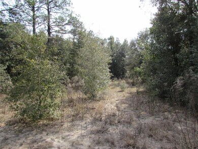 TBD SW 83rd St, Dunnellon, FL 34431 - photo 4