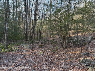 No Number Upper Cherrytown Rd, Rochester, NY 12446 - photo 6