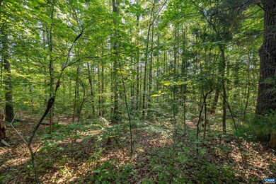 Lot 2 Stag Rd, Bremo Bluff, VA 23022 - photo 6