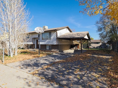 View of front facade with a carport, driveway, and a chimney