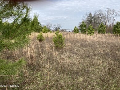 0 N Broadridge Rd unit 100444947, Orrum, NC 28369 - photo 3