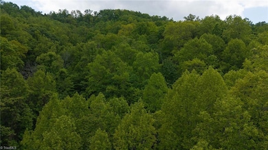 0 Cove Gap Rd unit Offering 2 1196059, Moravian Falls, NC 28654 - photo 7