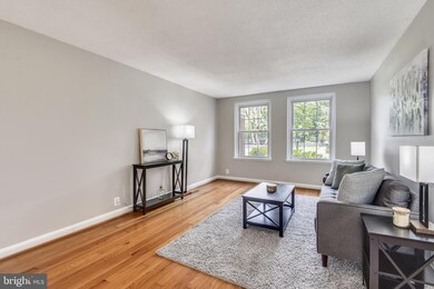 4123 36th St S unit A1, Arlington, VA 22206 - photo 4