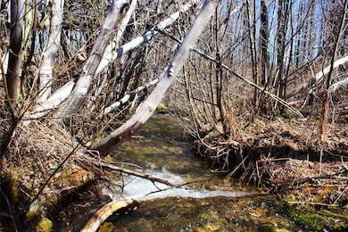 Nhn McGinnis Creek Rd, Libby, MT 59923 - photo 2