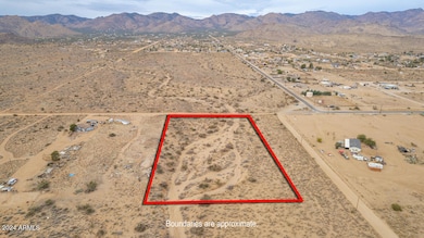 31004009 Kingman-21