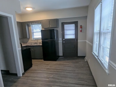 1012 Bridge Ave, Davenport, IA 52803 - photo 4