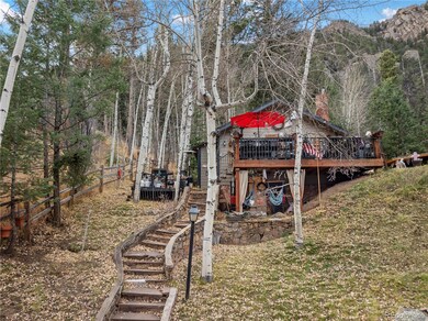 10155 Mountain Rd, Cascade, CO 80809 - photo 7