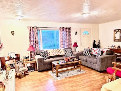 71 Private Dr, Chesapeake, OH 45619 - photo 6