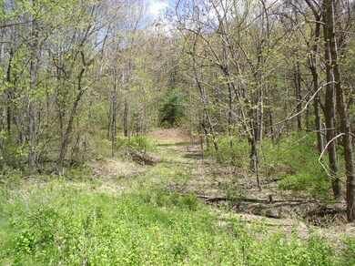 TBD Beech Grove Rd unit 644, Roseland, VA 22967 - photo 4