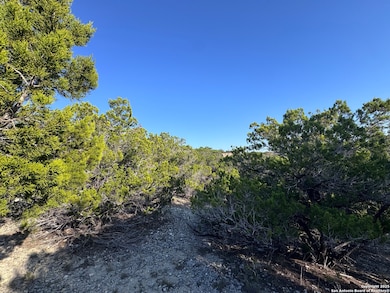 205 Center Point Rd, Lake Medina Shores, TX 78003 - photo 5