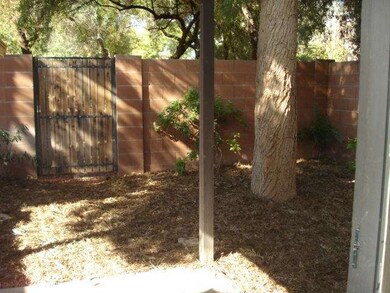 Private Back Yard