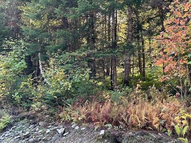 Lot 3 Spooner Rd, Pittsburg, NH 03592 - photo 6