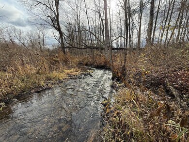 0 Caswell Rd unit LotWP001, Freeville, NY 13068 - photo 5