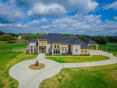 26183 Century Oaks Blvd, Hockley, TX 77447 - photo 3