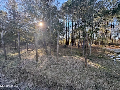 0 Lepoma Ave, Biloxi, MS 39532 - photo 3