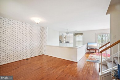 8511 Chapman Oak Ct, Springfield, VA 22153 - photo 7