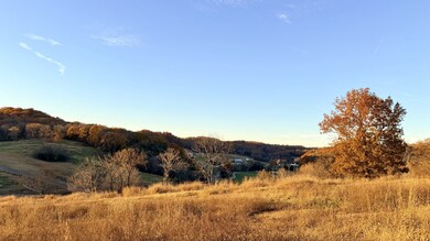 345 Brazier Ln, Gallatin, TN 37066 - photo 5