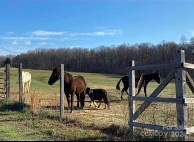 475 Morning Glory Ln, Cleveland, NC 27013 - photo 3