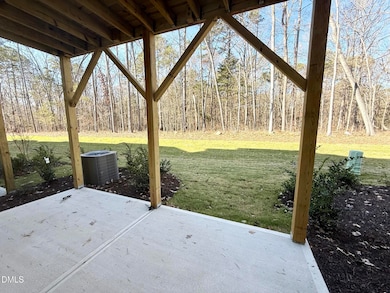 2029 Trident Maple Ln, Chapel Hill, NC 27517 - photo 6