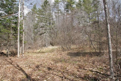 Off Vermont 18, Waterford, VT 05819 - photo 4