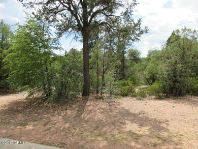 Photo 07