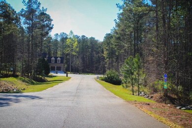 111 Lee Road 2116, Salem, AL 36874 - photo 2