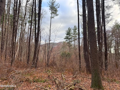 0 Glendale Rd unit 245211, Stockbridge, MA 01262 - photo 3