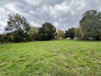 Tract 11 Megan Dr, Fairchilds, TX 77461 - photo 5