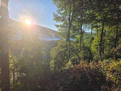 305 Cascade Rd, Danby, VT 05739 - photo 6