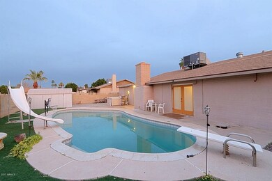 Backyard 1