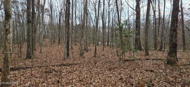 0 Rocky Top Rd unit 1322693, Monterey, TN 38574 - photo 7