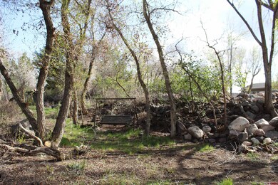 460 NE 4th St, Cedaredge, CO 81413 - photo 4