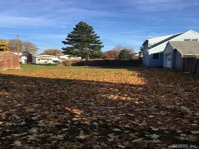 HUGE BACKYARD