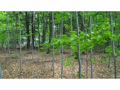 30 La Brecque St, Lincoln, NH 03251 - photo 6