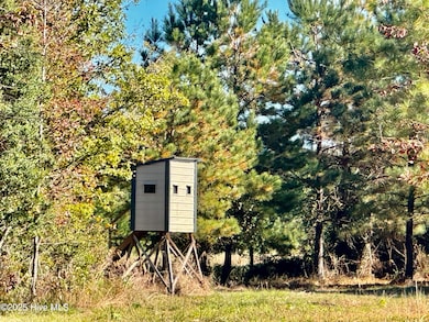 0 Near 4294 James B Wh, Whiteville, NC 28472 - photo 7