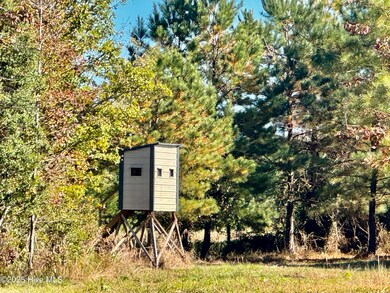 0 Near 4294 James B Wh unit 100541845, Whiteville, NC 28472 - photo 7