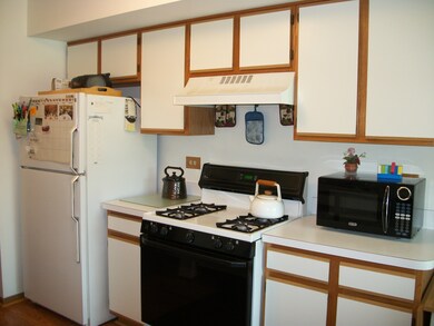 18033 Vista Dr unit 18033, Country Club Hills, IL 60478 - photo 6