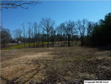 Front is cleared. Middle of property has trees and there is cleared land behind the trees. Several choice building sites.
