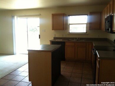 10723 S Shaenridge, San Antonio, TX 78254 - photo 3