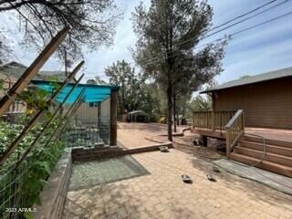 back yard