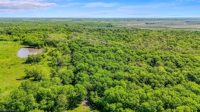 Aerial view featuring a view of trees