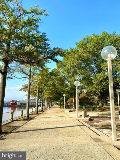 409 N St SW unit 5, Washington, DC 20024 - photo 5